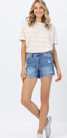 Judy Blue Hi Waist Distressed Shorts