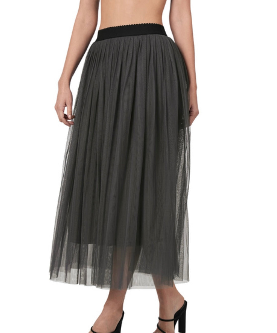 Mesh Pleated Skirt