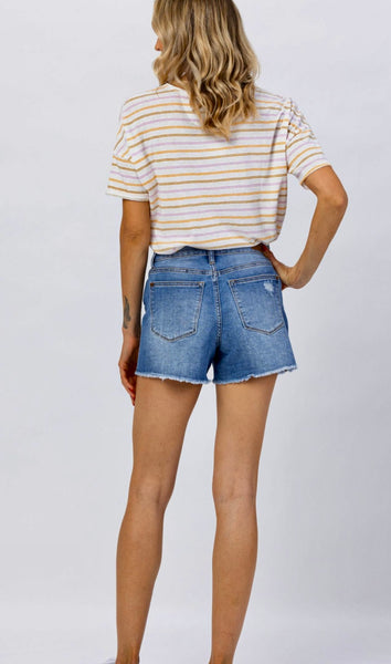 Judy Blue Hi Waist Distressed Shorts