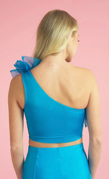 Organza Crop Top